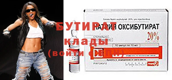 гидра Ельня