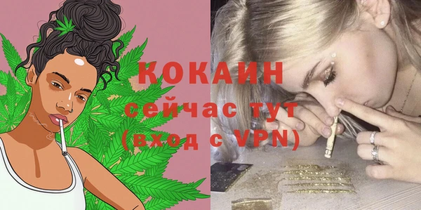 дурь Елизово