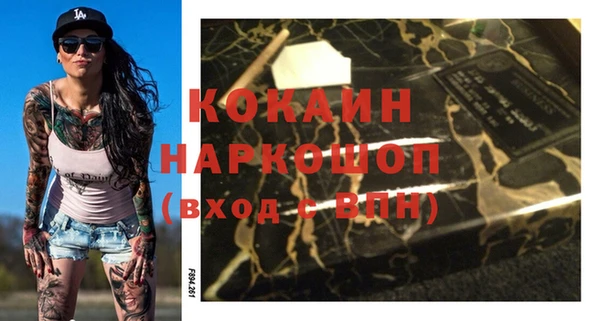 гидра Ельня