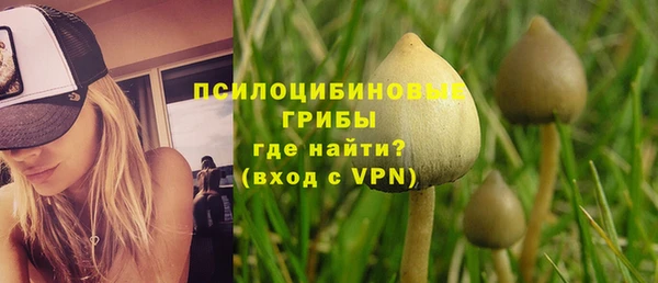дурь Елизово