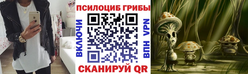 мориарти официальный сайт  Кириллов  Галлюциногенные грибы прущие грибы 